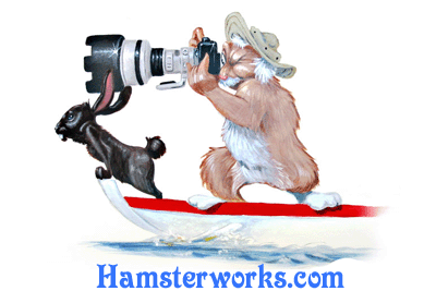 Hamsterworks.com